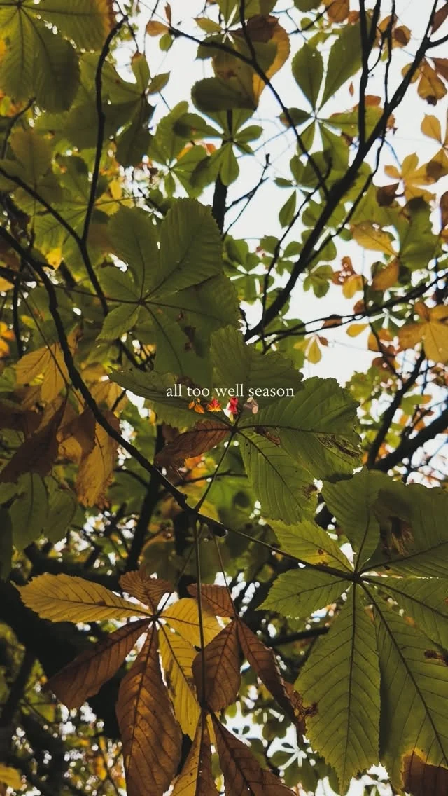 AD: The most wonderful time of the year is upon us 🍂 The autumn leaves are falling at the gorgeous @exburygardens 

If you haven’t had a chance to go yet, I recommend it for the perfect autumnal day out 🍂

AD PR trip 

VD: Various clips of a stunning gardens with rivers and leaves with the worlds ‘all too well season’ over the top. 

(Hashtags)
#AllTooWell #ExburyGardens #Autumn